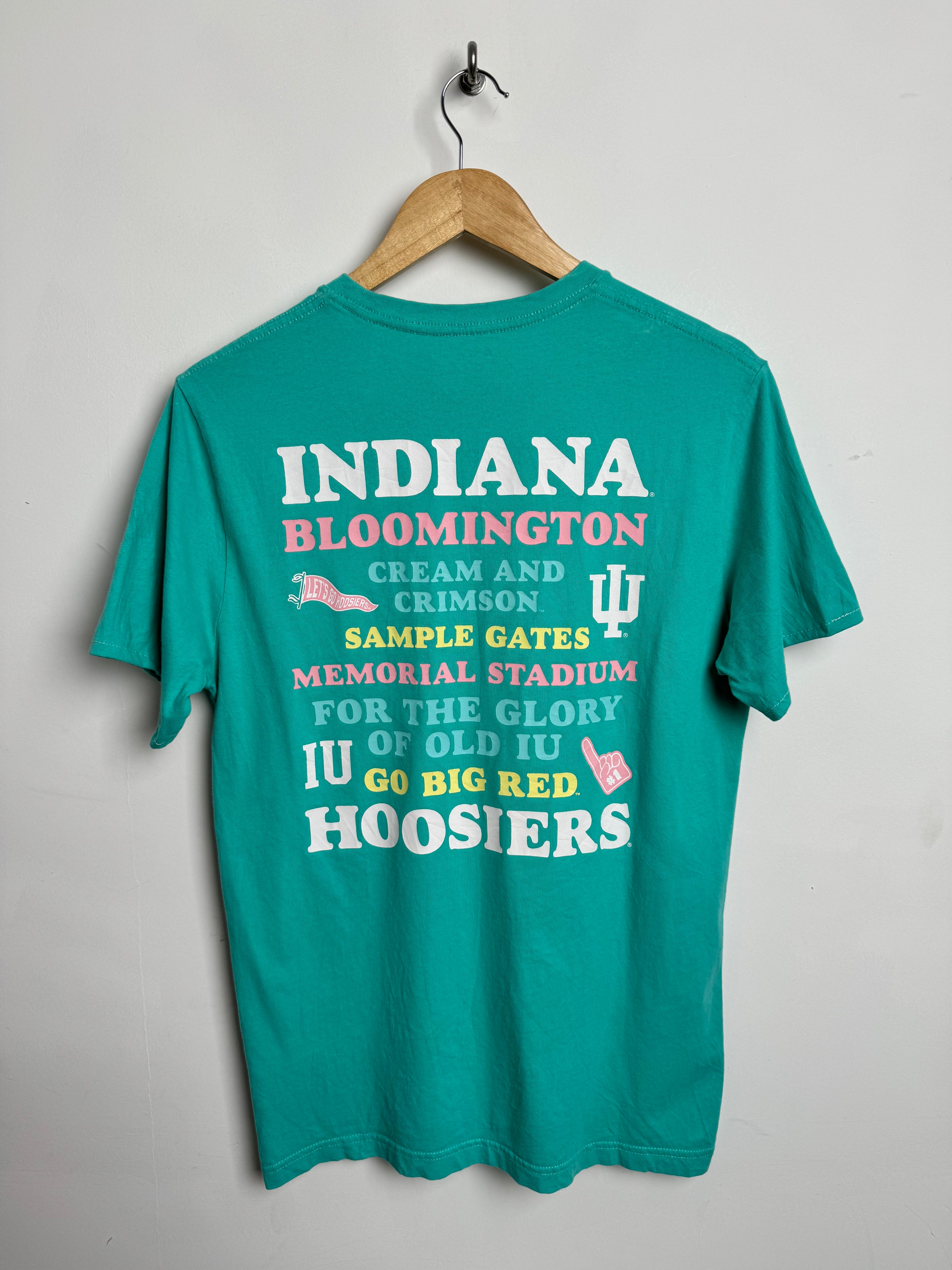 CHAMPION Indiana Hoosiers tee in teal - thrift.mt